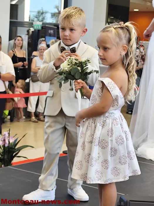 defilee-salon-mariage-26092679