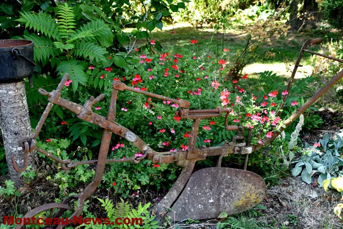 jardin-jlp-20092611