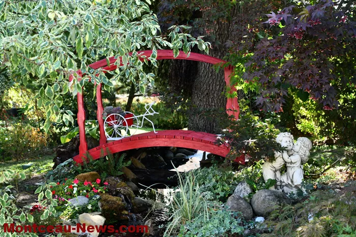 jardin-jlp-20092615