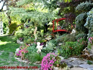 jardin-jlp-2009262