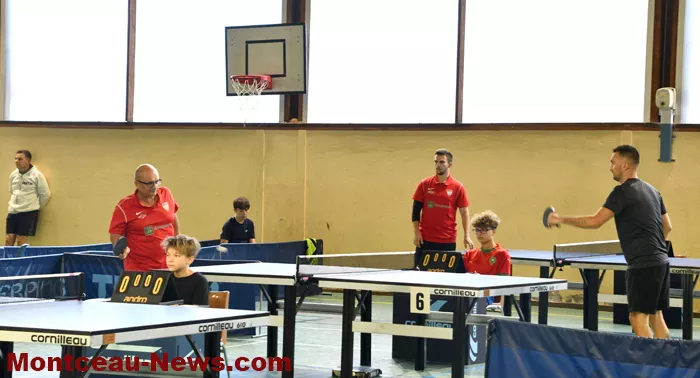 tennis-table-1309264