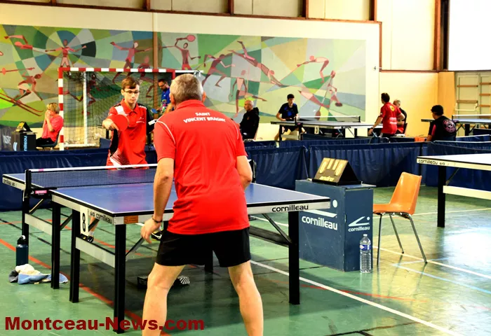 tennis-table-1309265