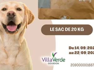 villa-chien-1409262