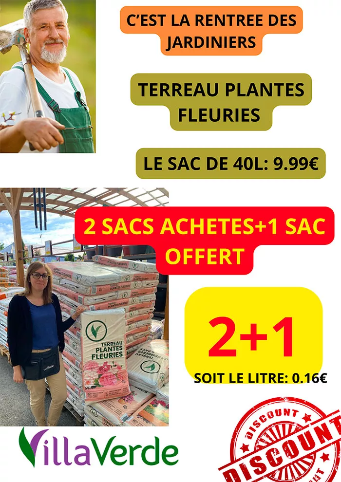 villaverde-0109261