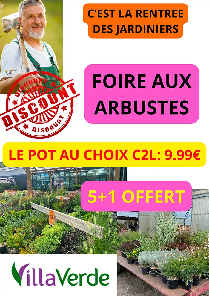 villaverde-0109265