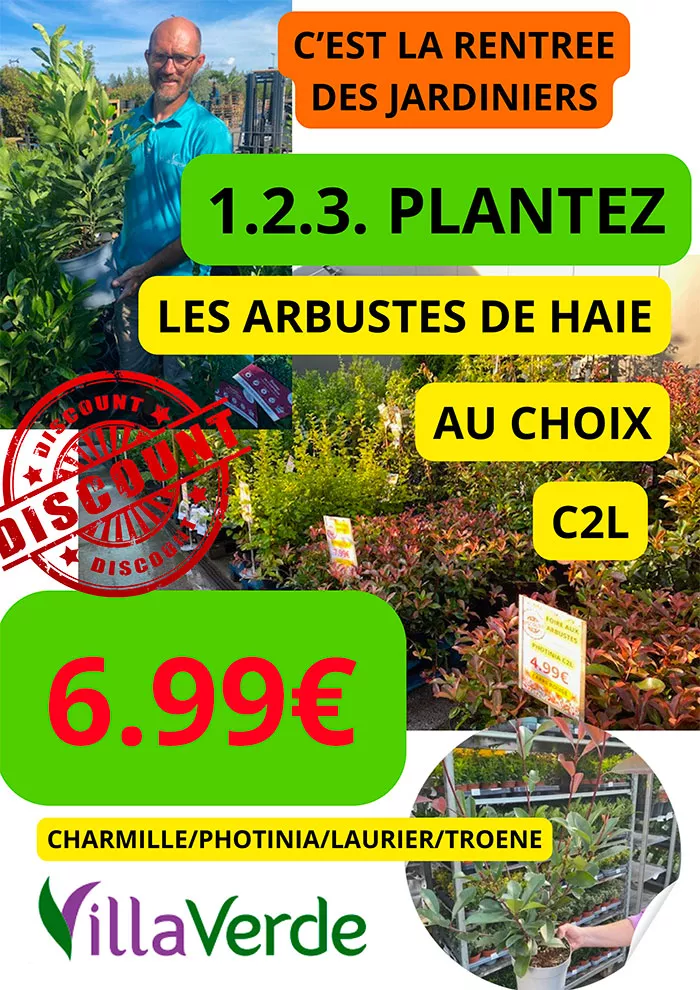 villaverde-0109268