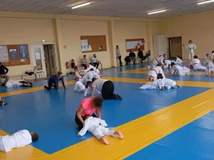 ad-judo-2010263