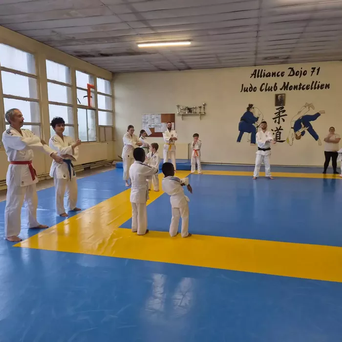 ad-judo-2010264