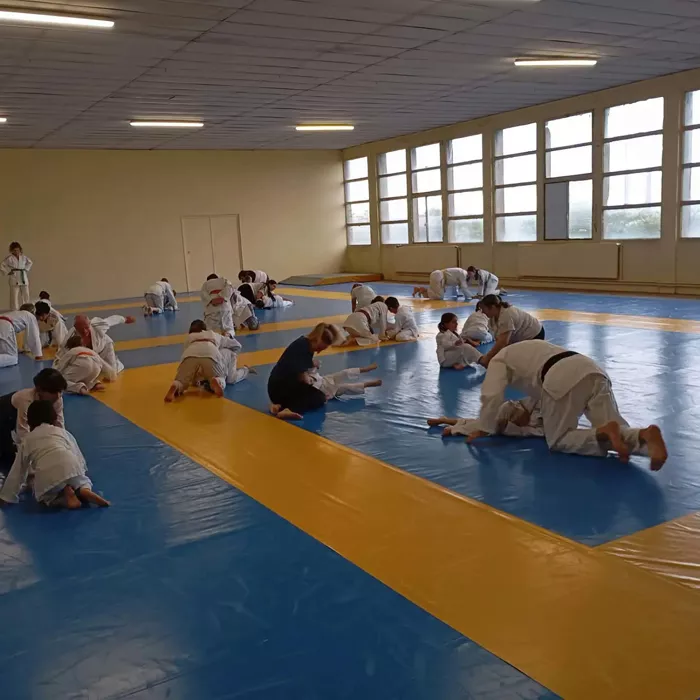 ad-judo-2010265