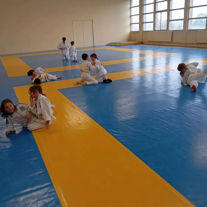 ad-judo-montceau-2310262