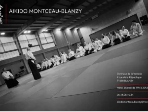 aikido-1510261