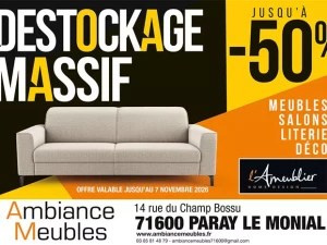 ambiance-meubles-1210261333