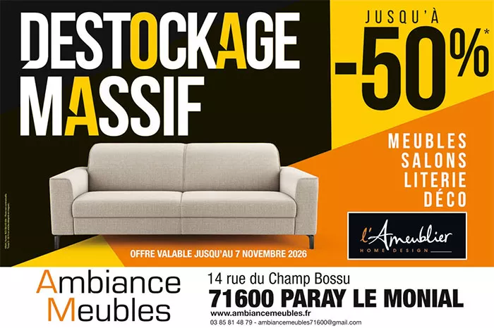 ambiance-meubles-1210261333