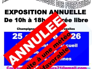 annulee-201026