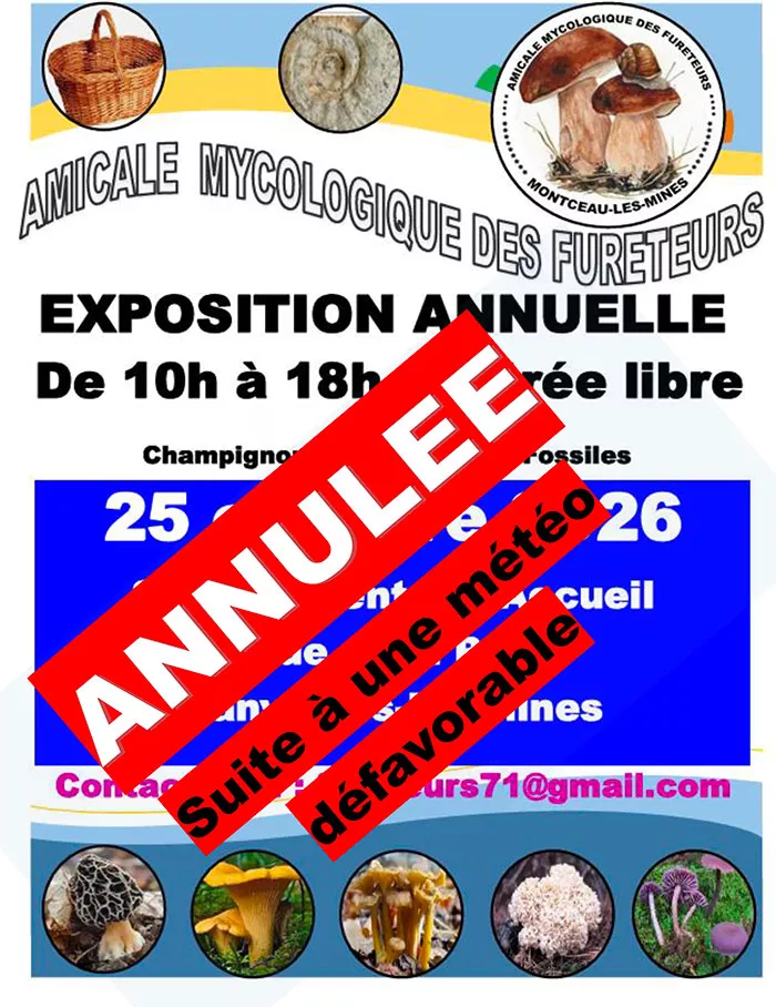 annulee-201026