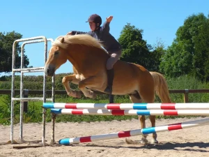 centre-equestre-091026