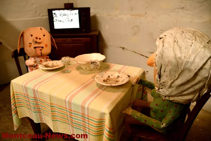 chat-pelee-blanzy-25102641