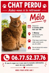 Chat perdu à Blanzy