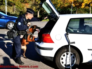 controle-police-29102611
