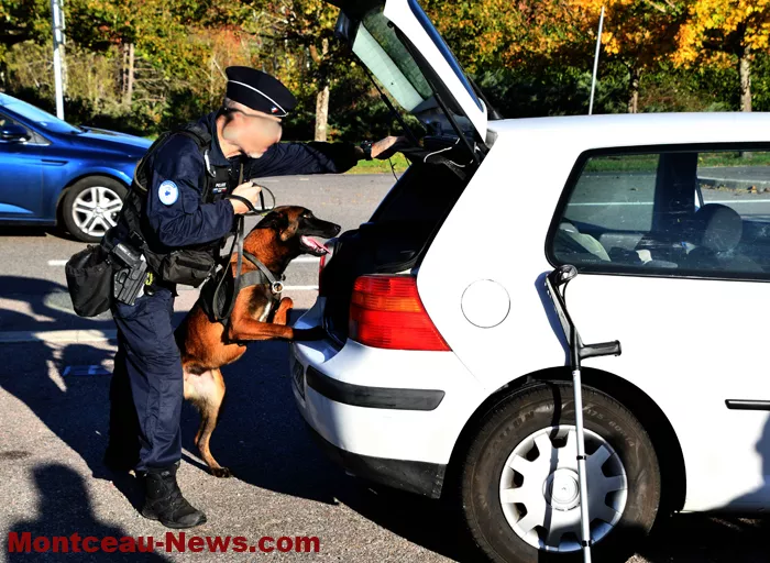controle-police-29102611