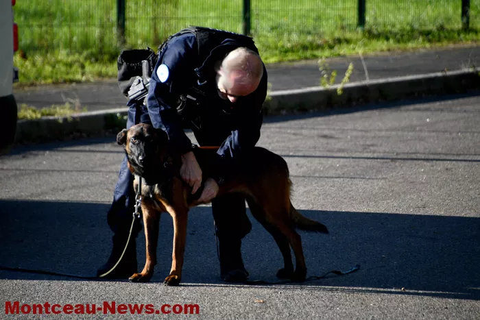 controle-police-2910268
