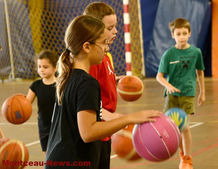 csl-gym-3010266