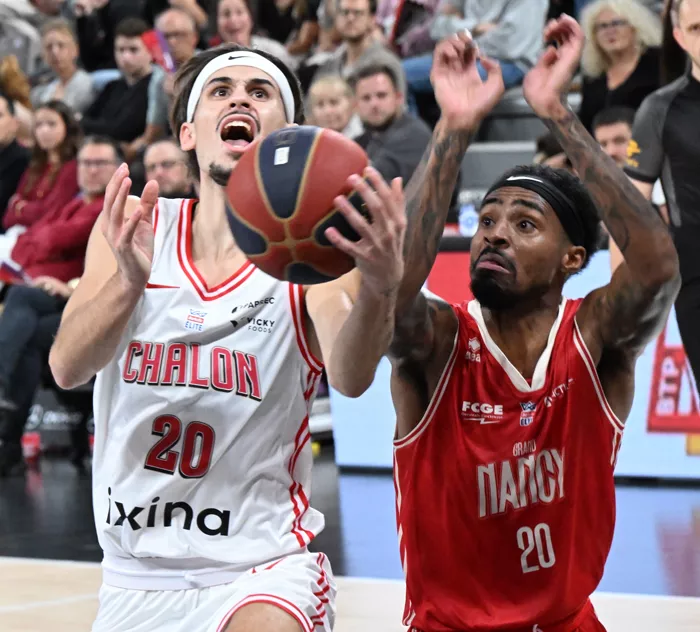 elan-basket-1110261