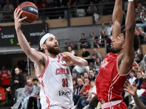elan-basket-1110262