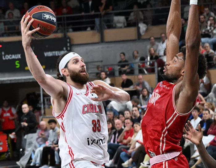 elan-basket-1110262