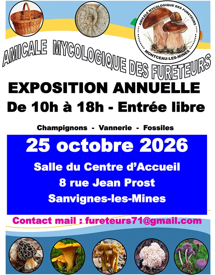 furteur-111026