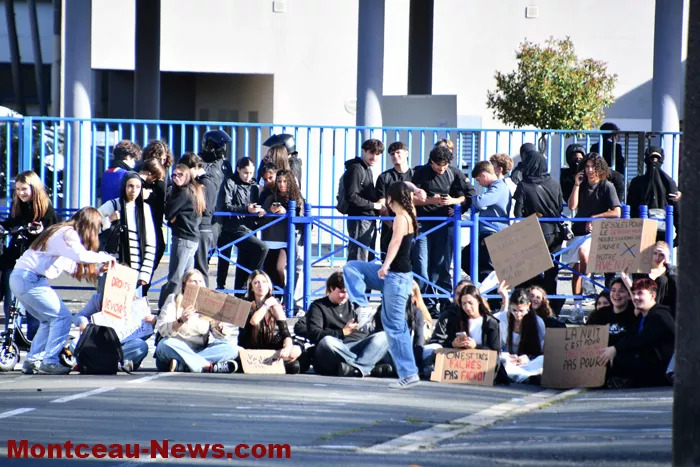 greve-manif-lycee-parriat-02102623