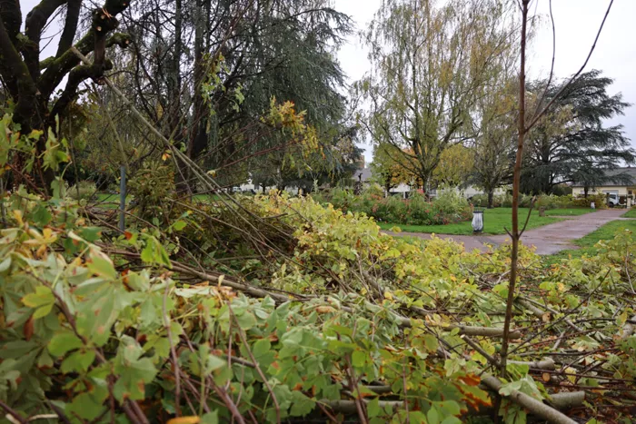 jardin-petit-bois-montceau-2010263