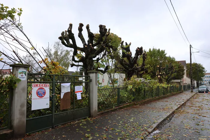 jardin-petit-bois-montceau-2010265
