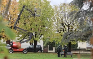 Montceau-les-Mines : Jardin du Petit Bois