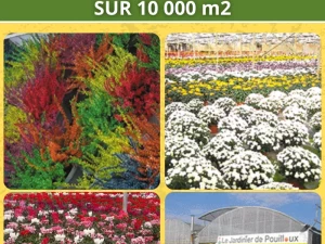 jardinier-pouilloux-0910261