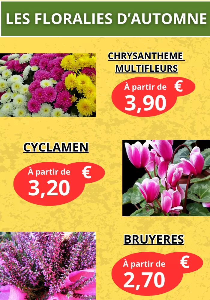 jardinier-pouilloux-0910262