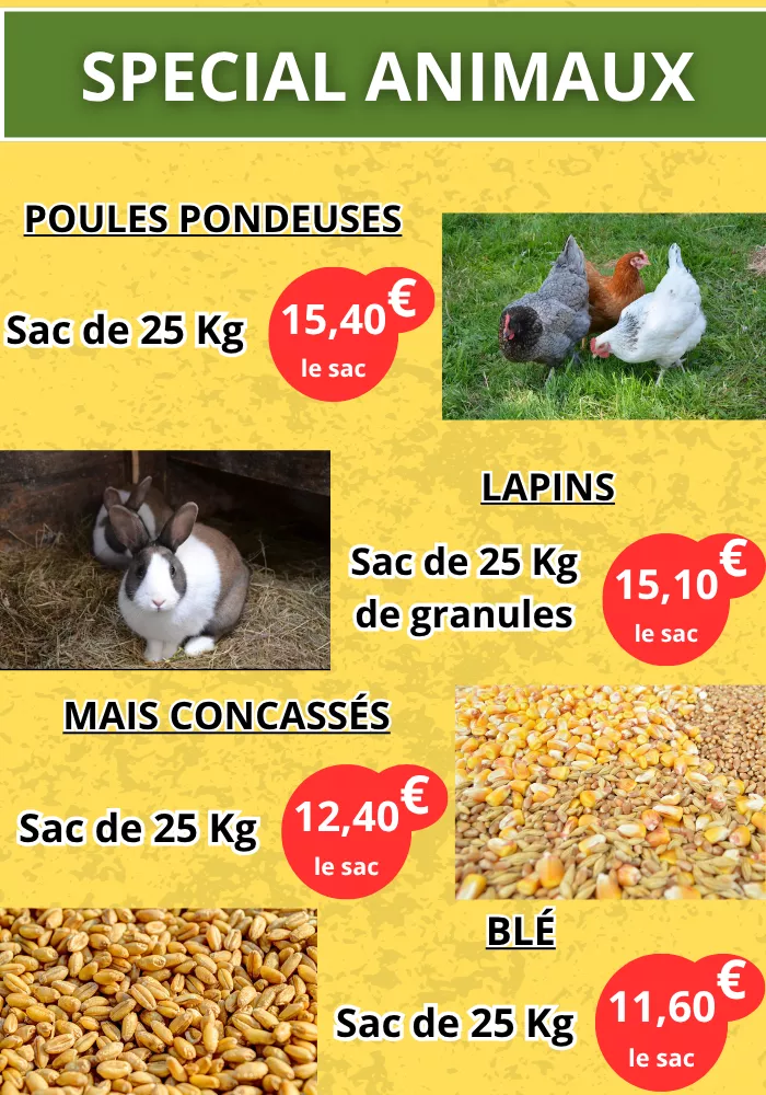 jardinier-pouilloux-0910264