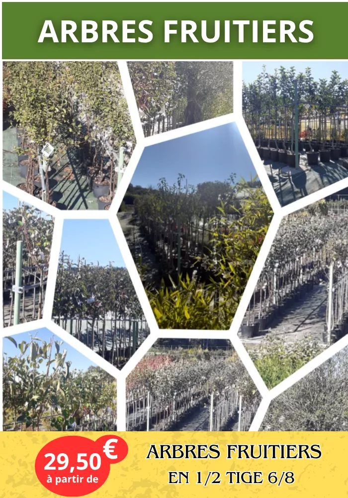 jardinier-pouilloux-0910265