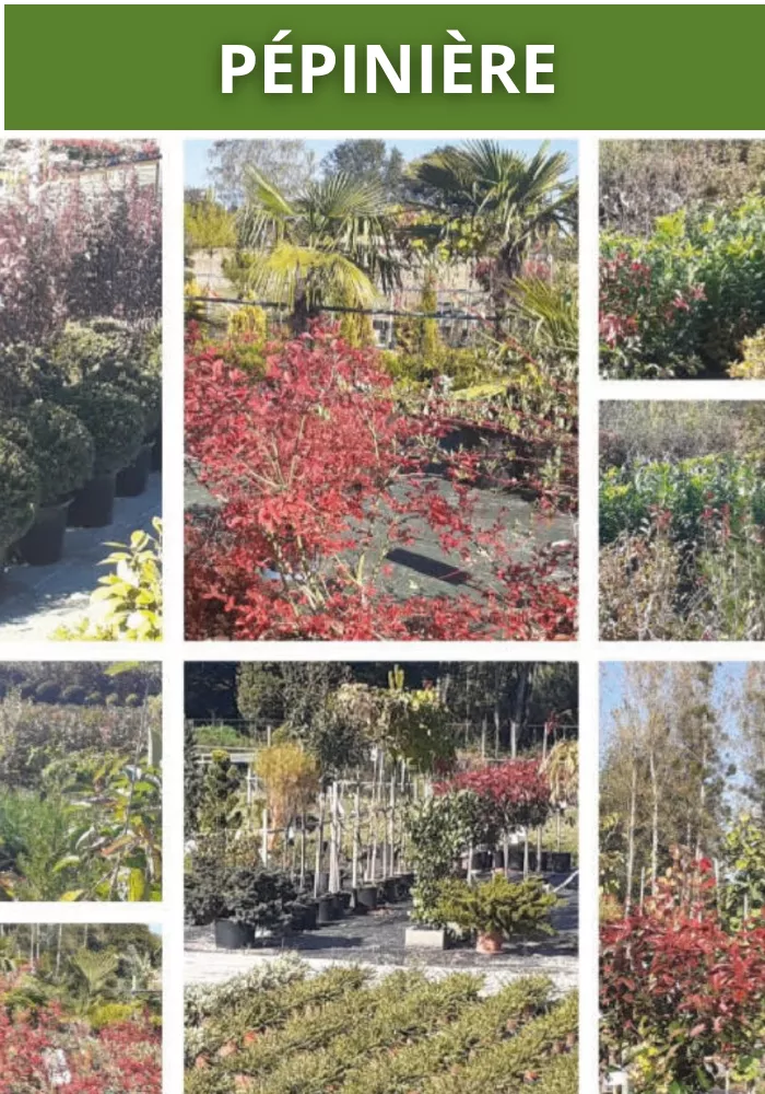 jardinier-pouilloux-0910266