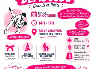 judo-perrecy-171026