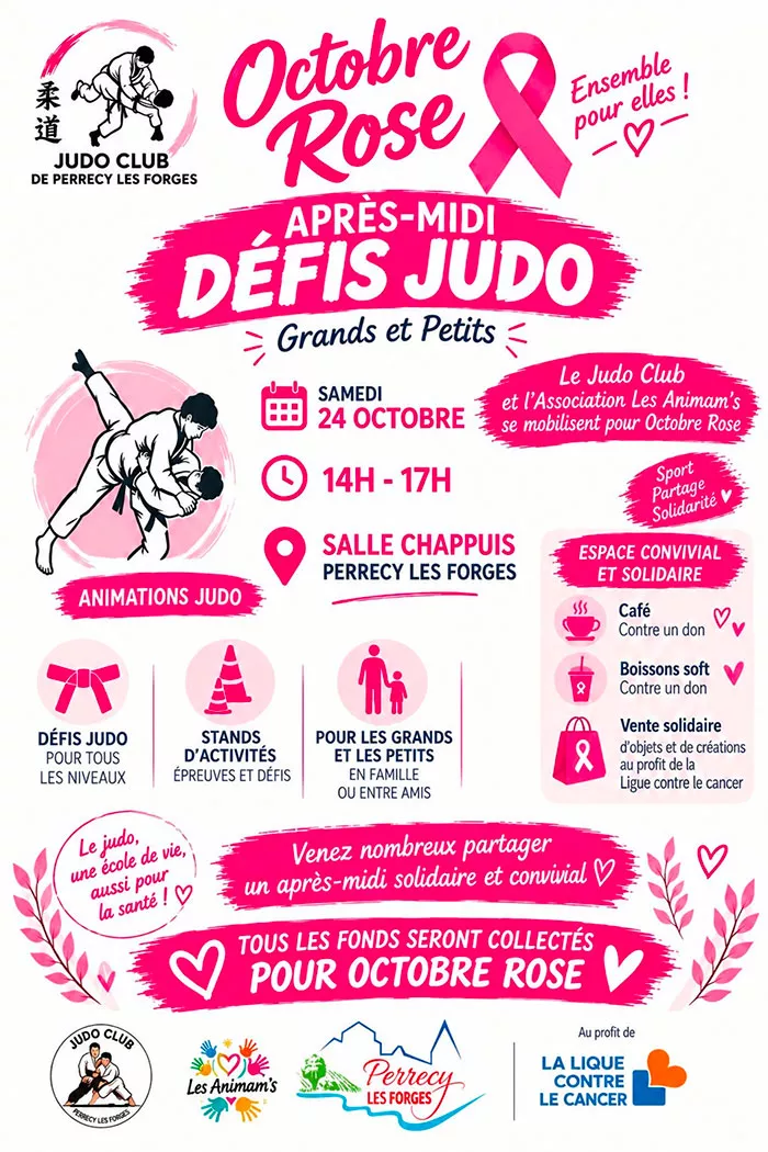 judo-perrecy-171026