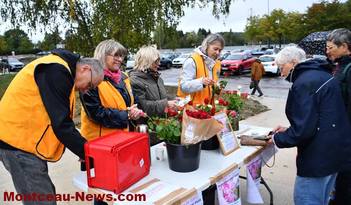 lions-rose-1110261