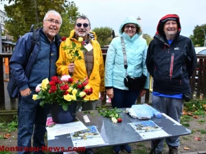 lions-rose-1110263