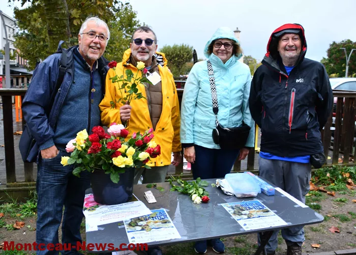lions-rose-1110263