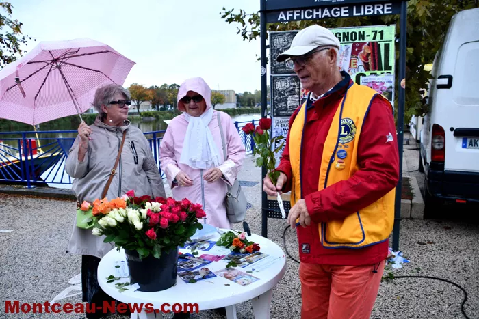 lions-rose-1110264