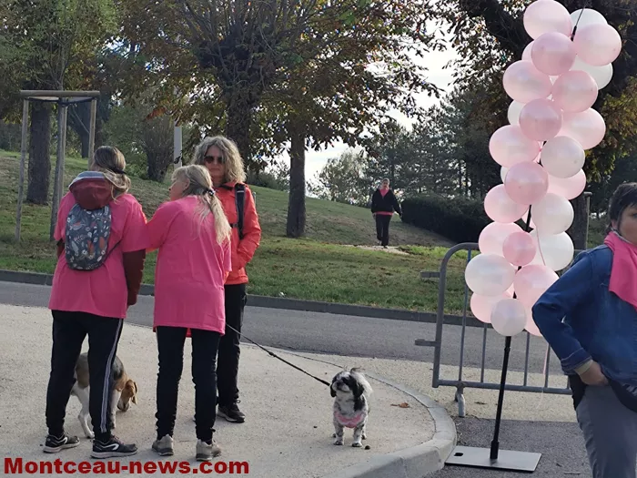 marche-sanvivgnes-rose-11102610