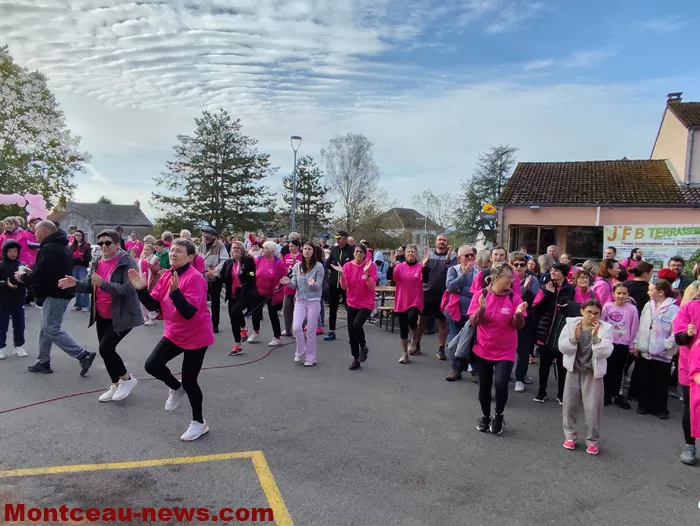 marche-sanvivgnes-rose-11102621