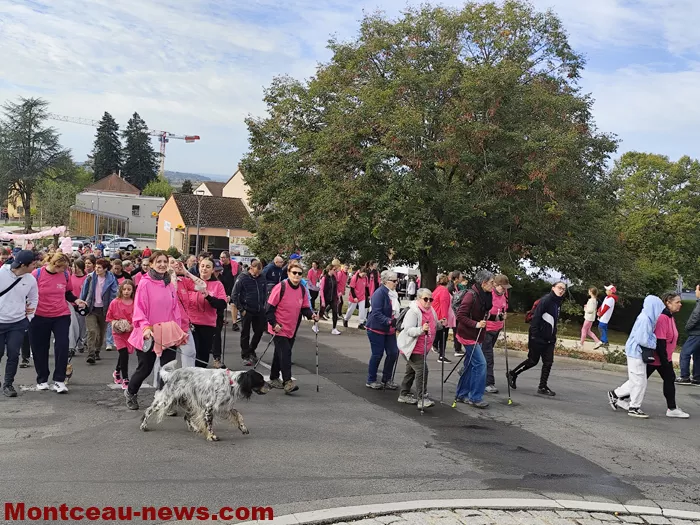 marche-sanvivgnes-rose-11102646