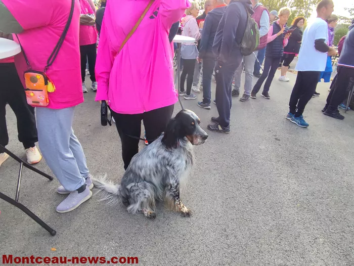 marche-sanvivgnes-rose-1110266