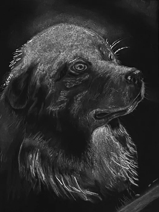 portrait-nelly-2610269
